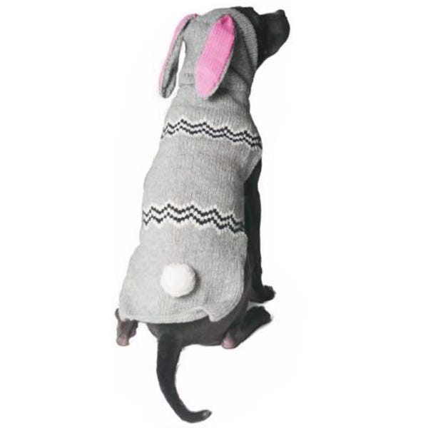 Dog 2025 bunny sweater