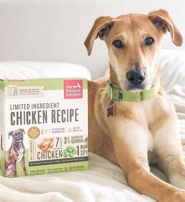 The Honest Kitchen Dog Food Kibble